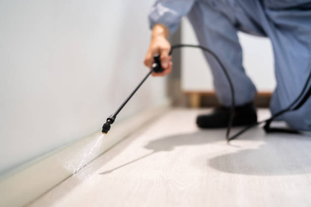 Bed Bug Pre-Treatment Preparation Assessment in Ogden